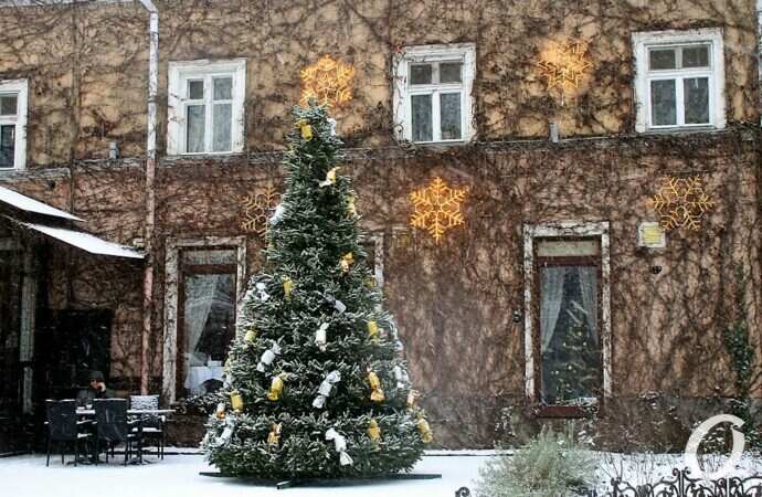 Снег в Одессе 24 декабря33