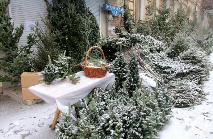 Снег в Одессе 24 декабря4