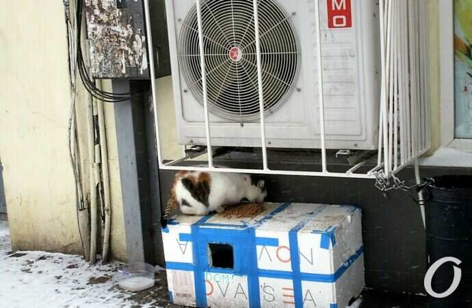 Снег в Одессе 24 декабря43