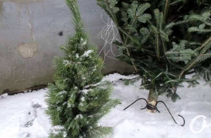 Одесский елочный базар