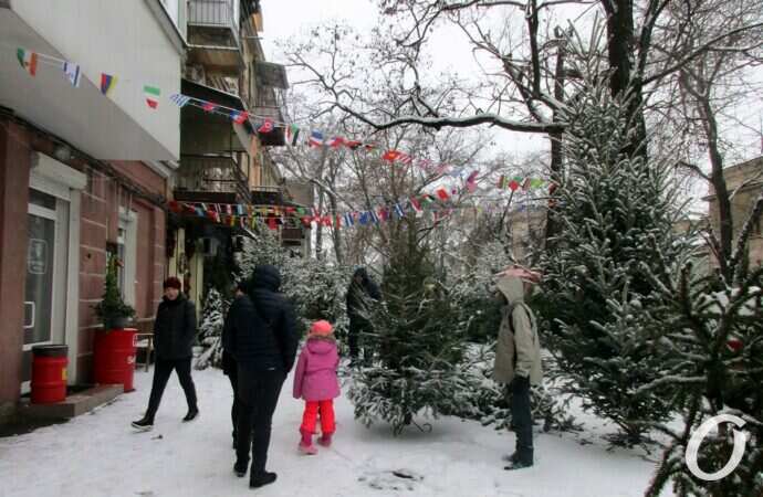 Одесский елочный базар12