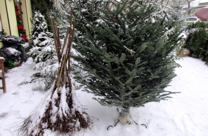 Одесский елочный базар13