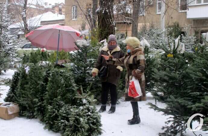 Одесский елочный базар14