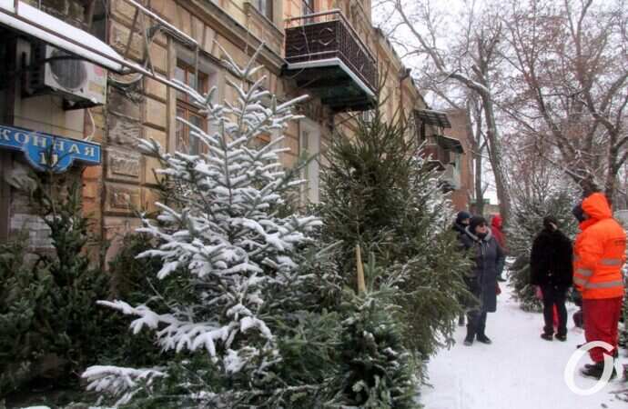 Одесский елочный базар16