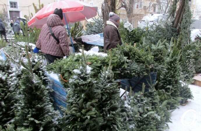 Одесский елочный базар17