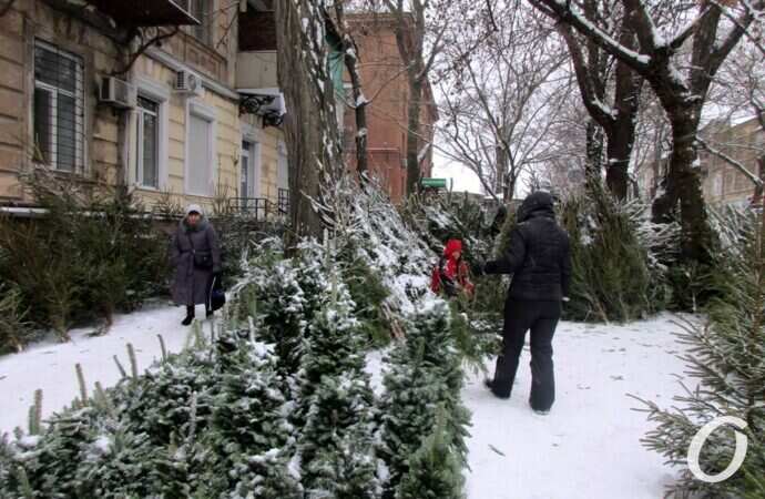 Одесский елочный базар21