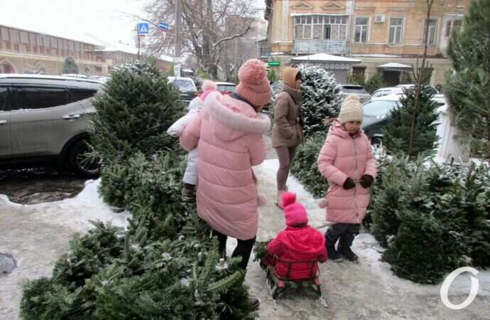 Одесский елочный базар32