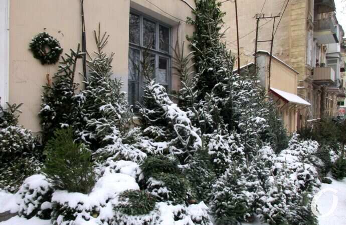 Одесский елочный базар35