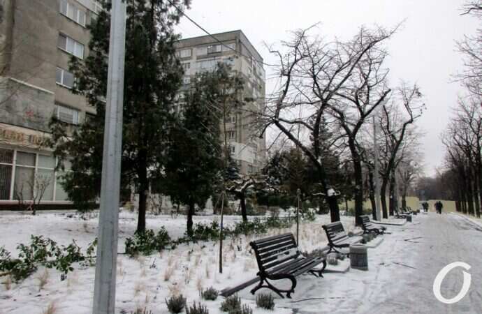 бульвар Жванецкого, декабрь 2021 года15