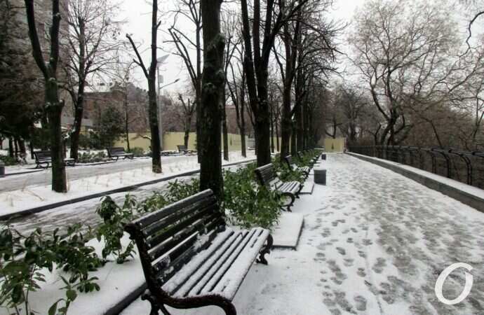 бульвар Жванецкого, декабрь 2021 года16