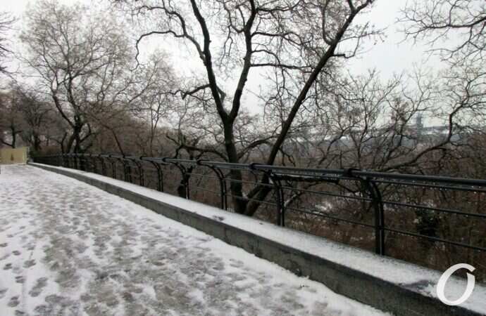 бульвар Жванецкого, декабрь 2021 года17