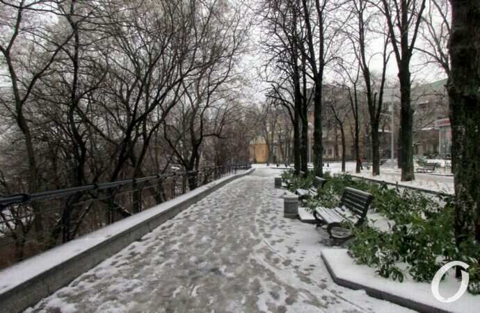 бульвар Жванецкого, декабрь 2021 года18