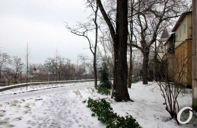 бульвар Жванецкого, декабрь 2021 года2