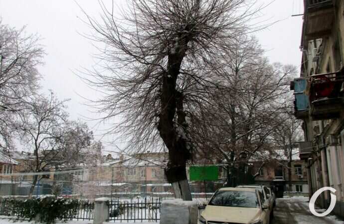 Одесские дворики, декабрь