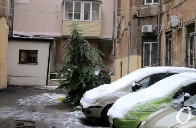 Одесские дворики, декабрь10