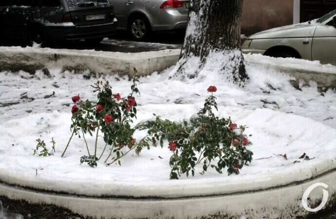 Одесские дворики, декабрь19