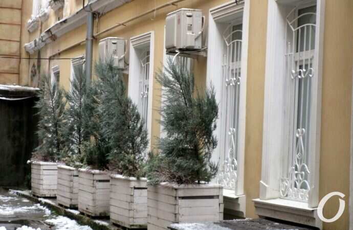 Одесские дворики, декабрь21