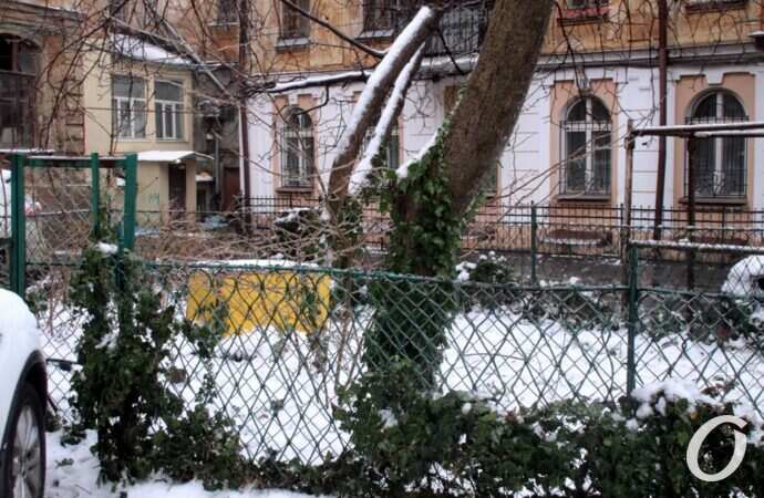 Одесские дворики, декабрь24