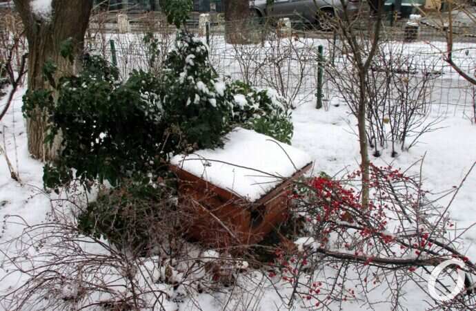 Одесские дворики, декабрь31