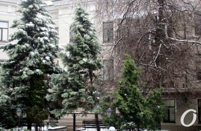 Одесские дворики, декабрь33