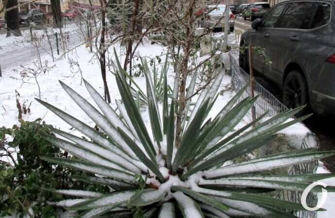 Одесские дворики, декабрь34