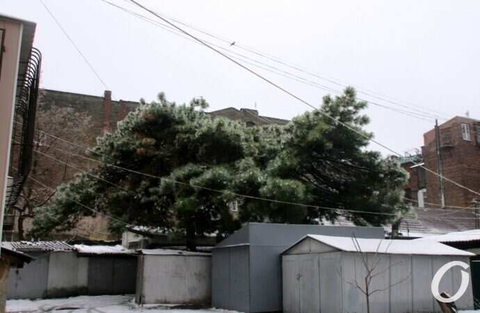 Одесские дворики, декабрь40