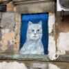 На улицах Одессы стали появляться кошачьи портреты (фото)