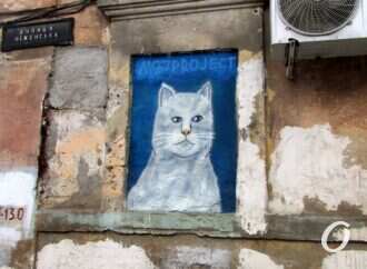 На улицах Одессы стали появляться кошачьи портреты (фото)