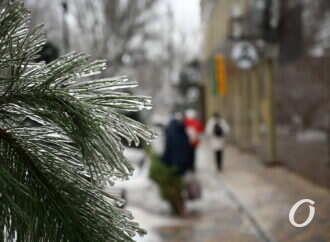 Одесса во льду: в городе обледенели тротуары, деревья и автомобили (фоторепортаж)