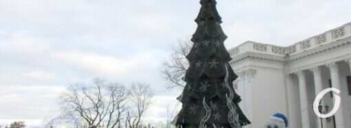 Верна традиции: портрет «главной одесской» елки на Думской площади сквозь годы