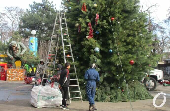 в парке Шевченко установили новогоднюю елку