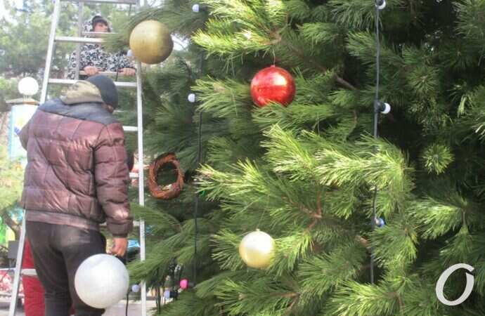 в парке Шевченко установили новогоднюю елку