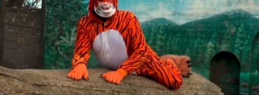 «Самый лучший в мире зверь»: Одесский зоопарк выпустил клип в честь Года Тигра (видео)