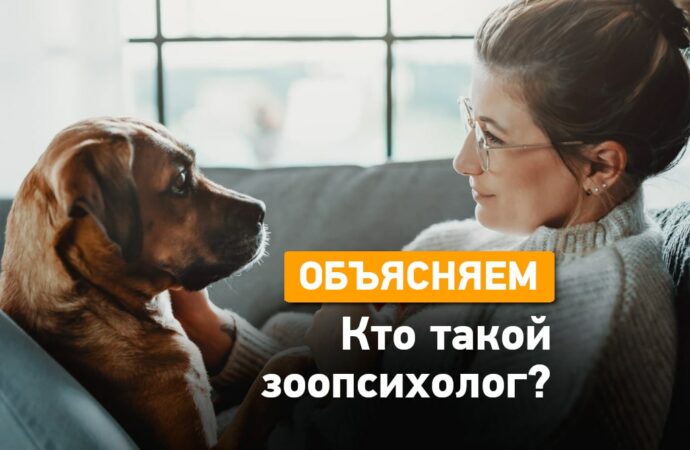 Профессии в тренде: зоопсихолог. Кто это?