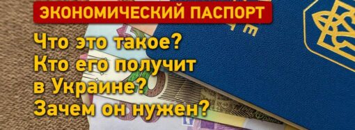 Экономический паспорт украинца: для чего он нужен и кто получит?