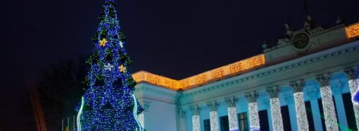 Как открывали главную елку Одессы (фото и видео)