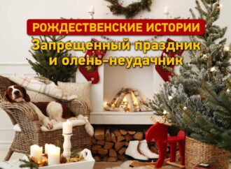 Рождественские истории: запрещенный праздник и олень-неудачник