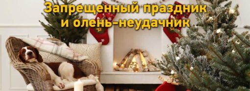 Рождественские истории: запрещенный праздник и олень-неудачник