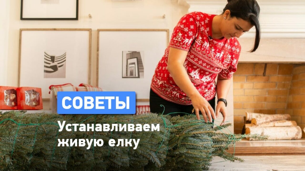 Как установить елку в квартире: советы и рекомендации