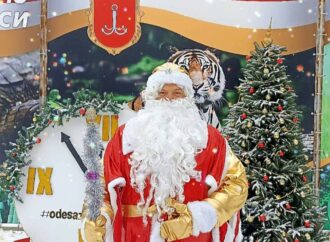 Игры, конкурсы и танцы от Тигра: Одесский зоопарк приглашает весело встретить Новый год (видео)