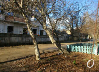 Одесский Товарный переулок: рядом с Алексеевским базаром, кузня в хозяйстве и последний биндюжник (фото)