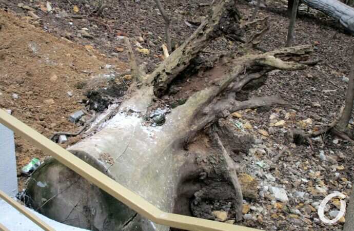 Курсантская лестница после ремонта8