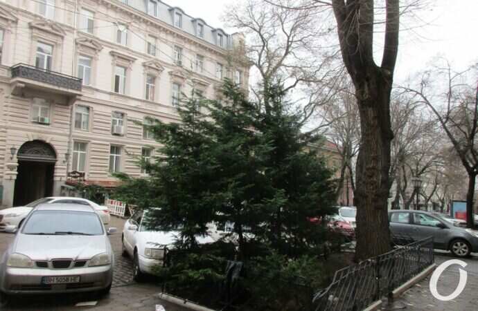 Дерибасовская, 1 января 2022 года19