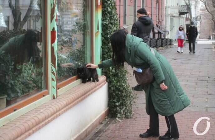 Дерибасовская, 1 января 2022 года21