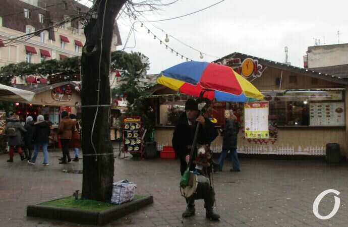 Дерибасовская, 1 января 2022 года6