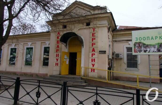 Новощепной ряд, январь 2022 г.-3