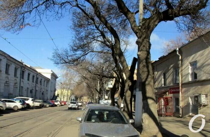 улица Старопортофранковская9