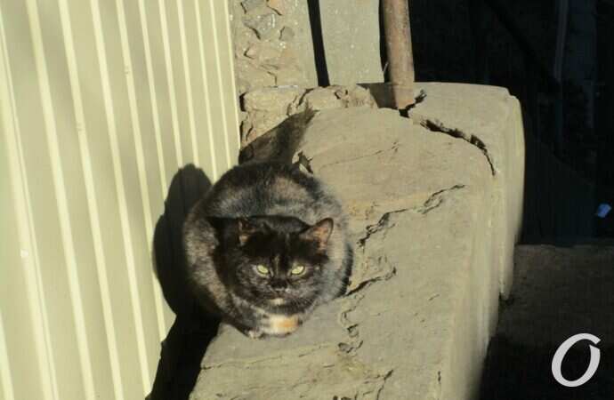 Лестница-гигант, наши дни2