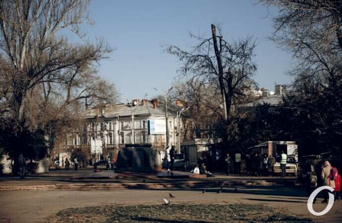 Бездомные на Куликовом поле2