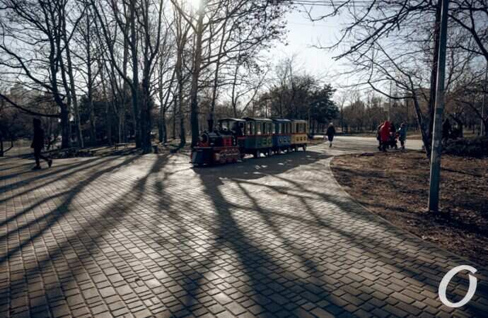 Бездомные на Куликовом поле11